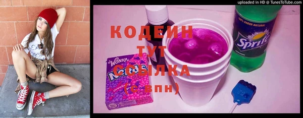 МДПВ Елизово