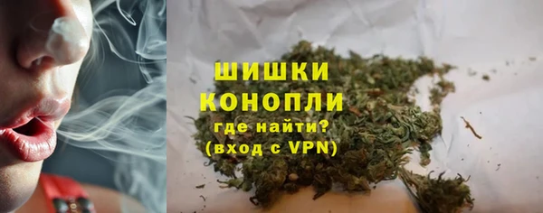 бошки Дмитриев