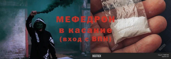 амф Ельня
