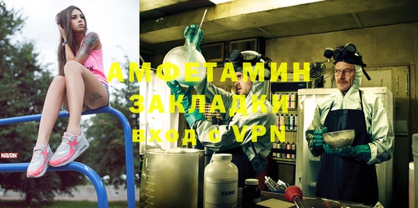 амф Ельня