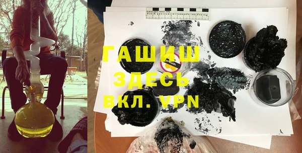амф Ельня