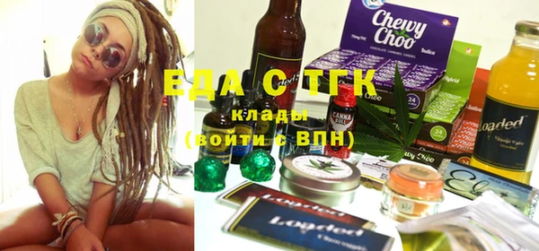 амф Ельня