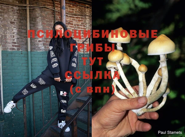 МДПВ Елизово