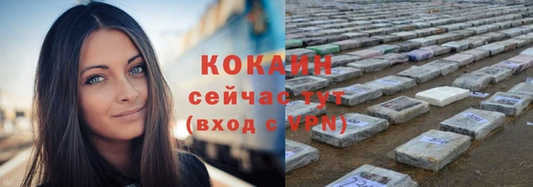 ГАЛЛЮЦИНОГЕННЫЕ ГРИБЫ Дмитровск