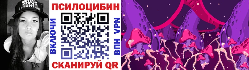Купить где  Лянтор  Псилоцибиновые грибы Psilocybine cubensis 